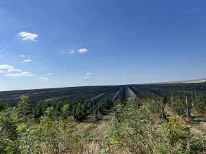 Министър Гуцанов към общините: Всички сме в една лодка, нека защитим средствата по НПВУ