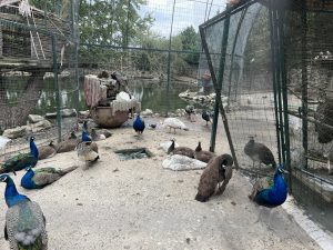 Цените на препродажбите на хладилници с тематика Labubu скочиха преди дебюта