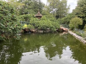 Changan Automobile се обединява с CATL, за да внедри автомобили с натриево-йонни батерии през 2026 г. · TechNode