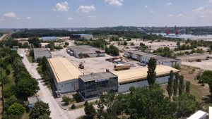 Културната одисея на Global Gen Z на фестивала на божурите в Луоянг