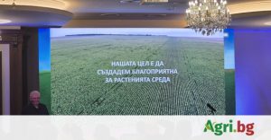 След огнен ад: Фермер търси помощ, за да възстанови стопанството си