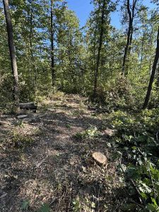 Процесът A16 на TSMC ще работи без следващото поколение High NA EUV машина на ASML · TechNode