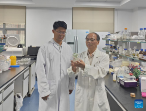 Здравно бюро: Безплатни услуги по китайска медицина за жертви на пожар в Тай По