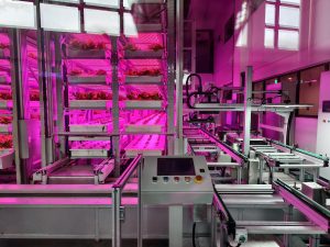 Интелигентното вертикално земеделие се развива в Чънду